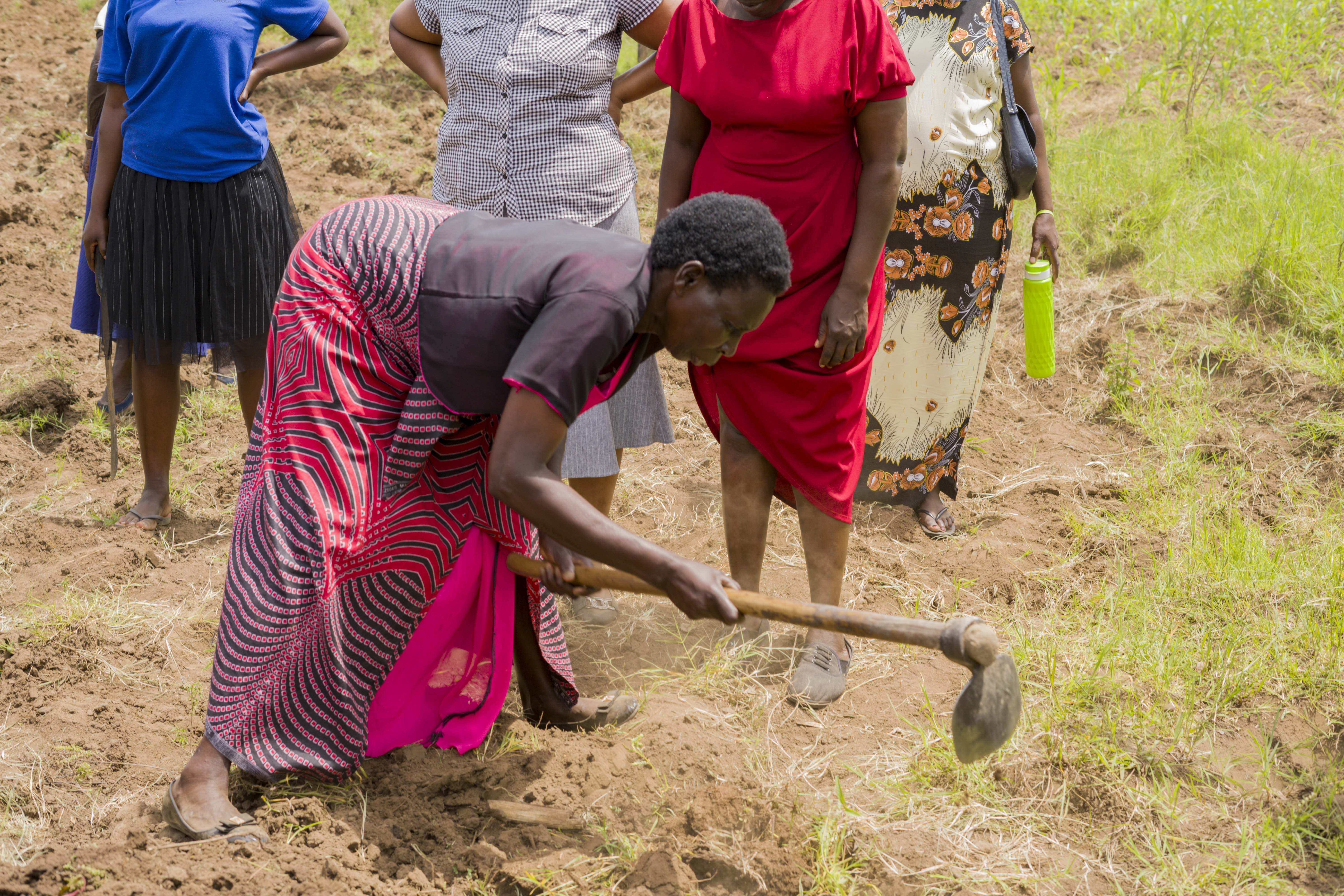 Climate Resilience Training: Building Adaptive Capacity